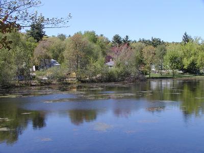 Pond scene in Ayer #2