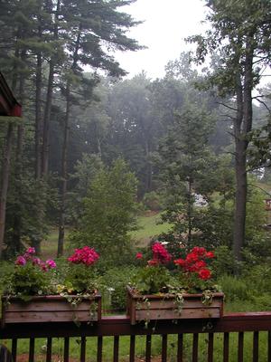 View from our deck of fog after a rainstorm