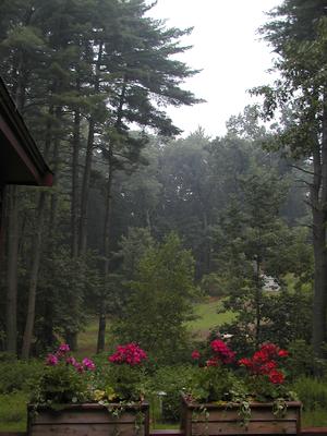 View from our deck of fog after a rainstorm #2