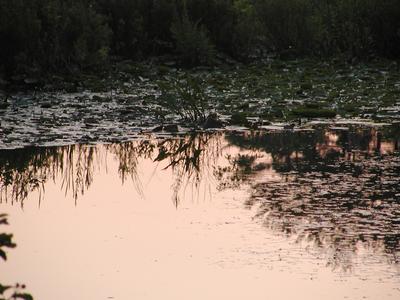 Sunset in Spectacle Pond