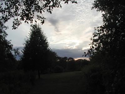 Sunset and clouds over Acton Arboretum