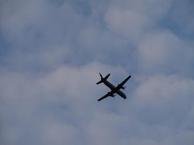 Airplane over Acton Arboretum #2