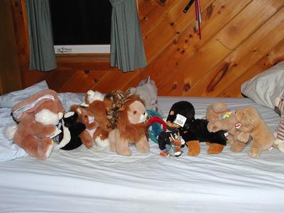 The stuffed animals form a congo line #2