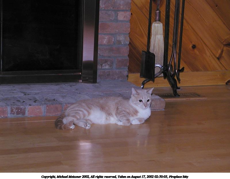 Fireplace kitty #2