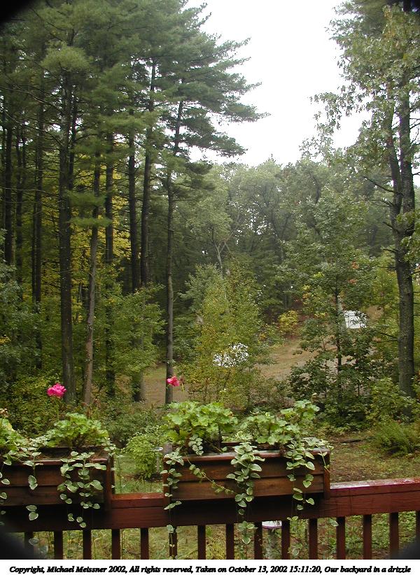 Our backyard in a drizzle #2