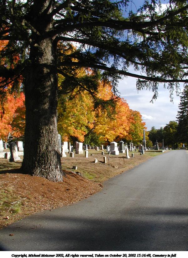 Cemetery in fall #5