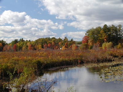 Spectacle pond in fall #4