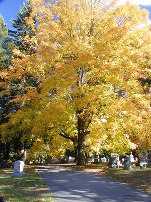 Cemetery in fall #2