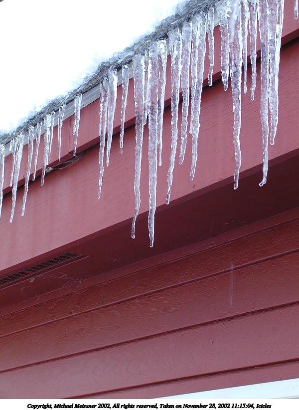 Icicles #3