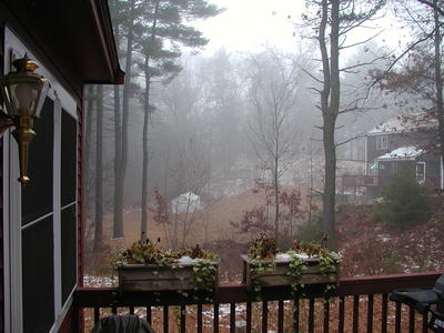 Foggy view from our living room