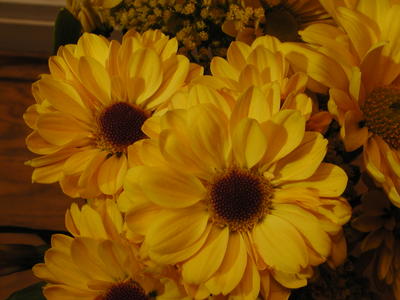 Mixed flowers #9