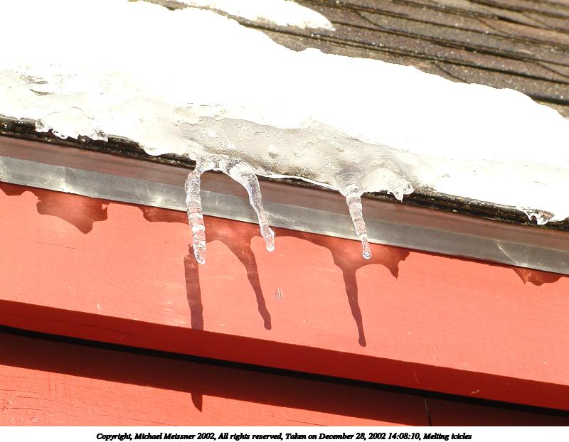 Melting icicles #2