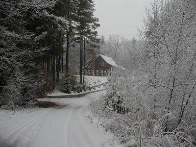 Winter on Sandas Point road