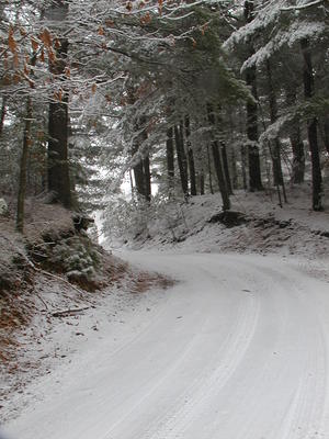 Winter on Sandas Point road #4