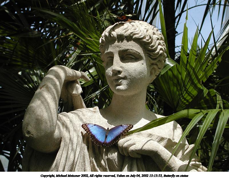 Butterfly on statue