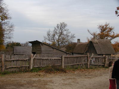 Houses and barn