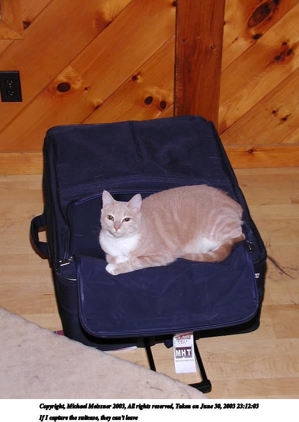 If I capture the suitcase, they can't leave