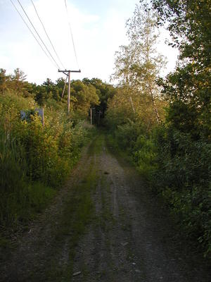 Trail besides Bennetts Brook