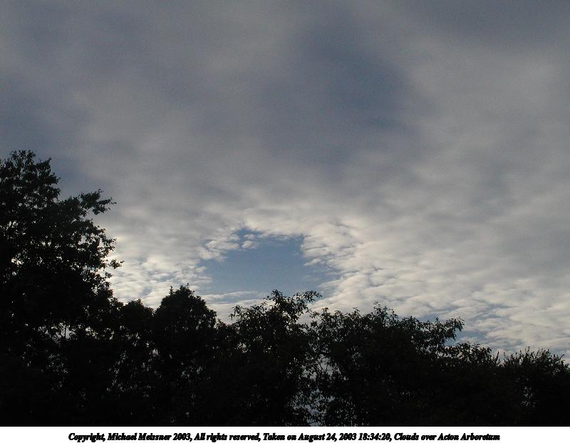 Clouds over Acton Arboretum #3