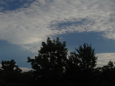 Clouds over Acton Arboretum
