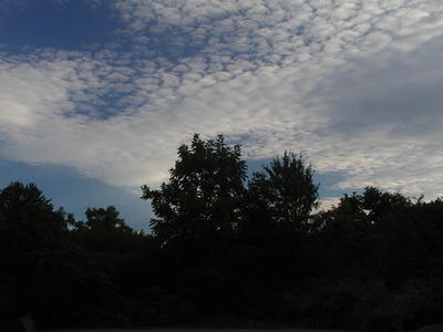 Clouds over Acton Arboretum #2