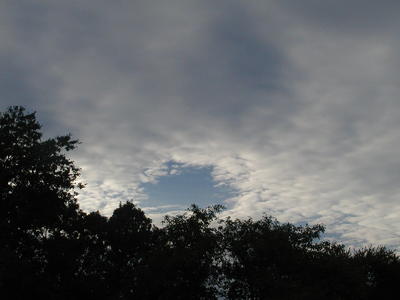 Clouds over Acton Arboretum #3