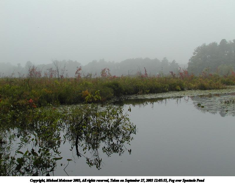Fog over Spectacle Pond #3