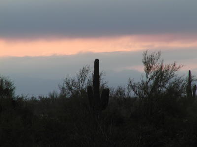 Arizona sunrise #2