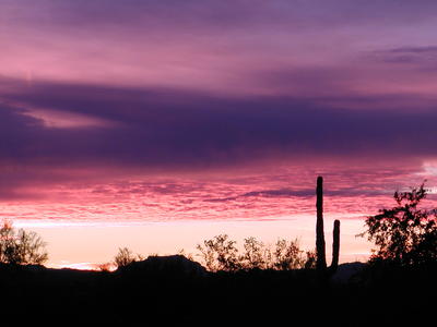 Arizona sunrise #5