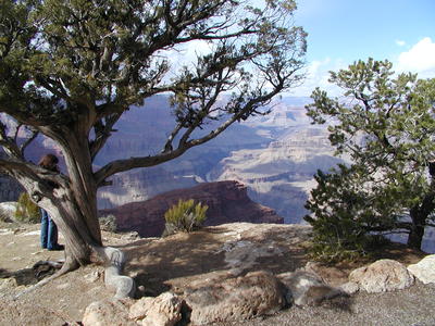 The grand canyon #12