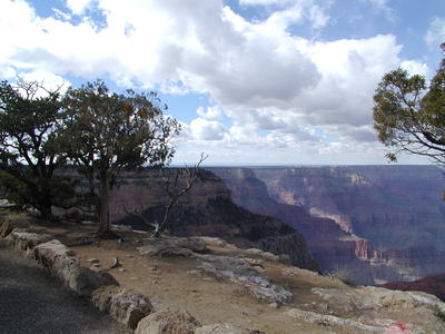 The grand canyon #13