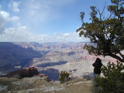 The grand canyon #15