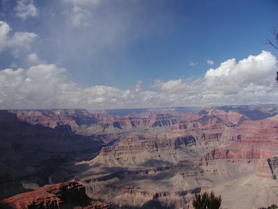 The grand canyon #16