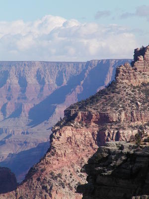 The grand canyon #24