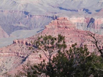 The grand canyon #25
