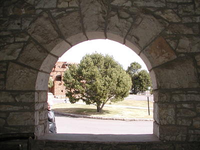 Tree through arch at the El Tovar