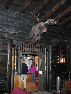 Moose head in the El Tovar