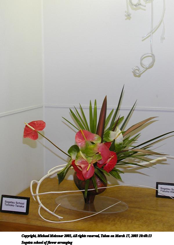 Sogetsu school of flower arranging #2