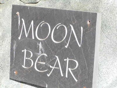 Moon bear sign