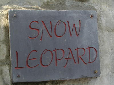 Snow leopard sign