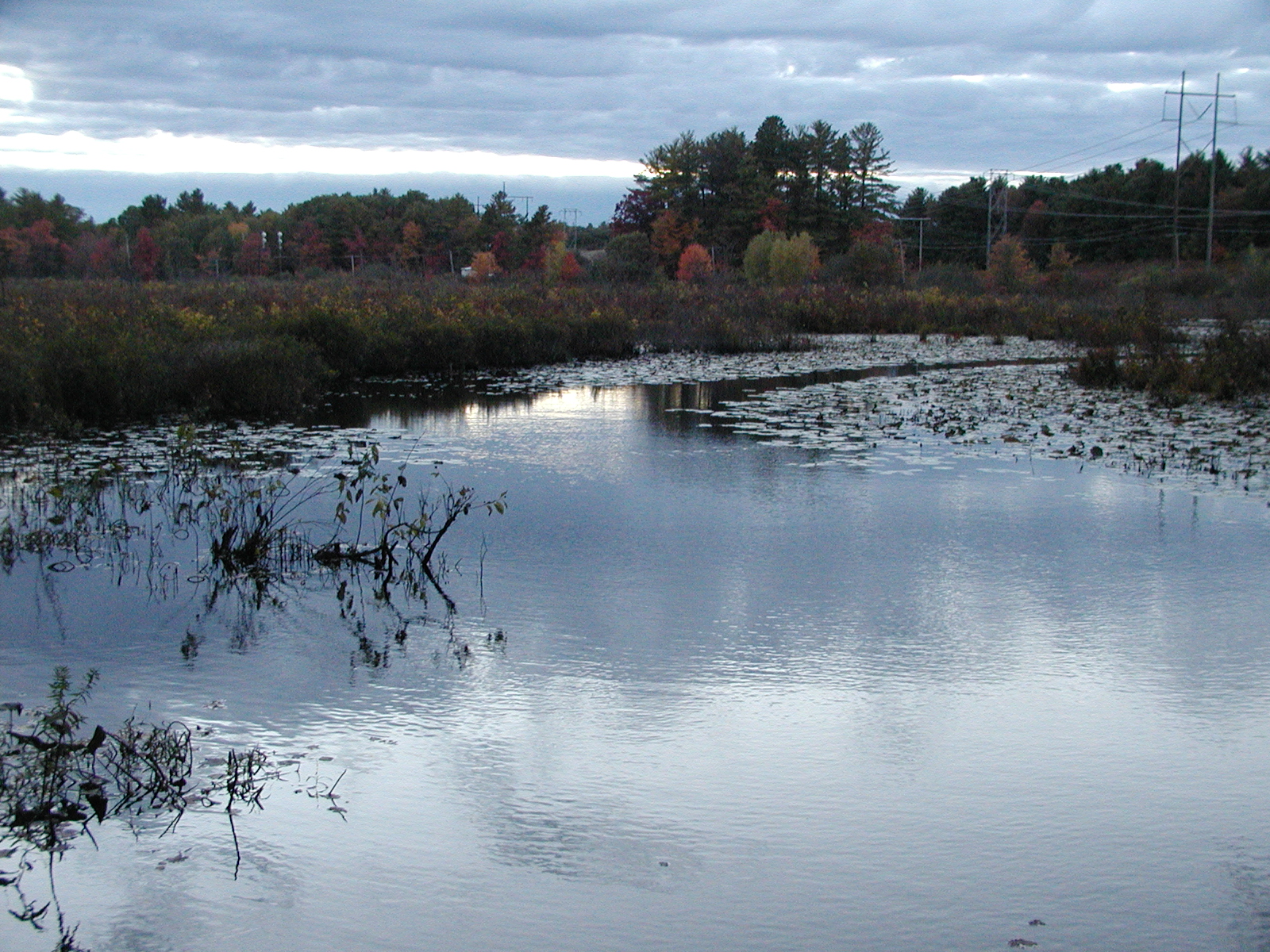 Spectacle pond at sunset #4