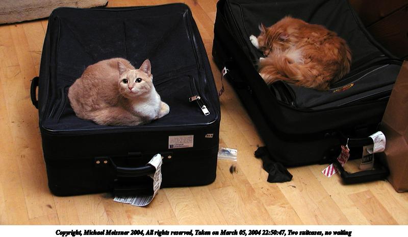 Two suitcases, no waiting