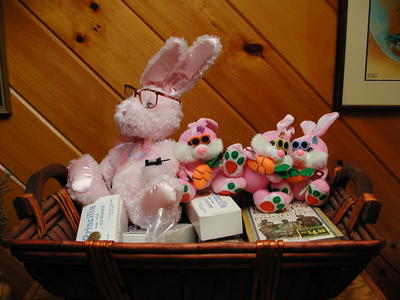 Pink Fluffy Bunnies seek world domination #2