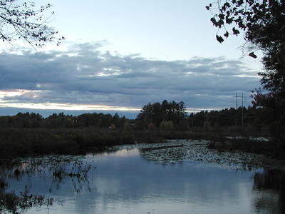 Spectacle pond at sunset
