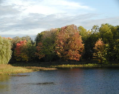 Fall in North Andover