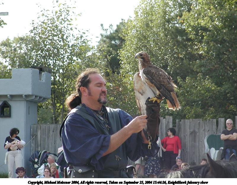 KnightHawk falconry show #15