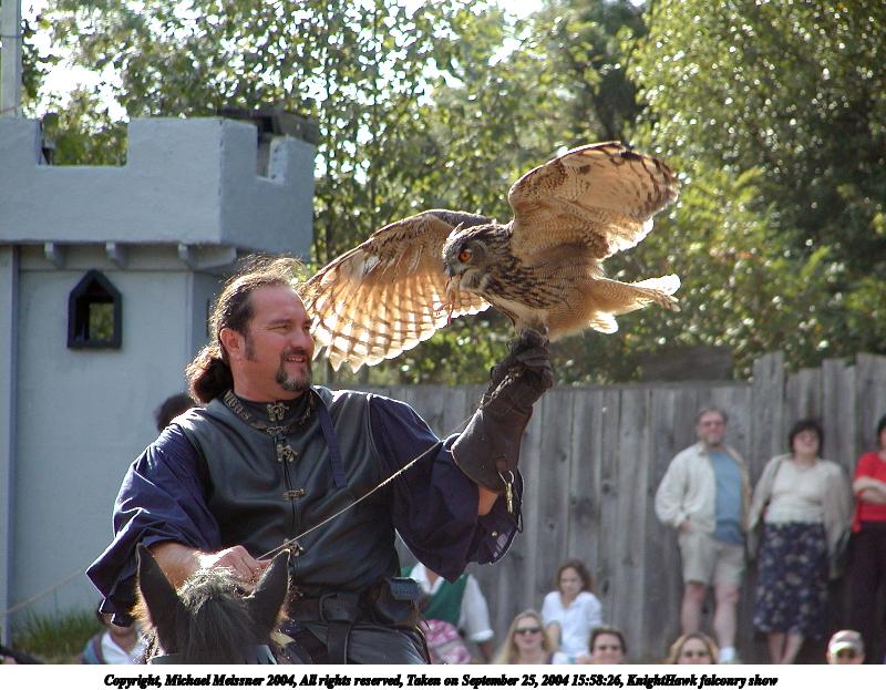 KnightHawk falconry show #28