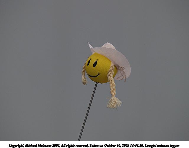 Cowgirl antenna topper