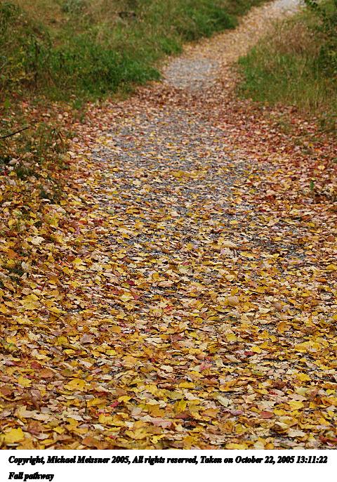 Fall pathway