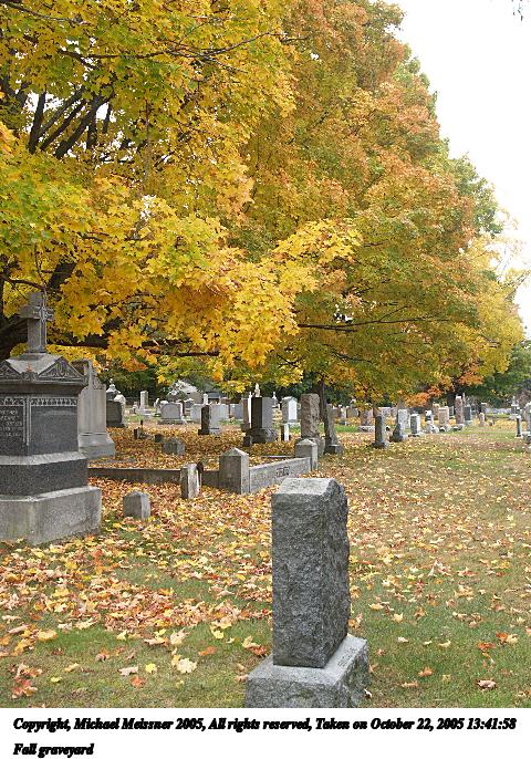 Fall graveyard #2